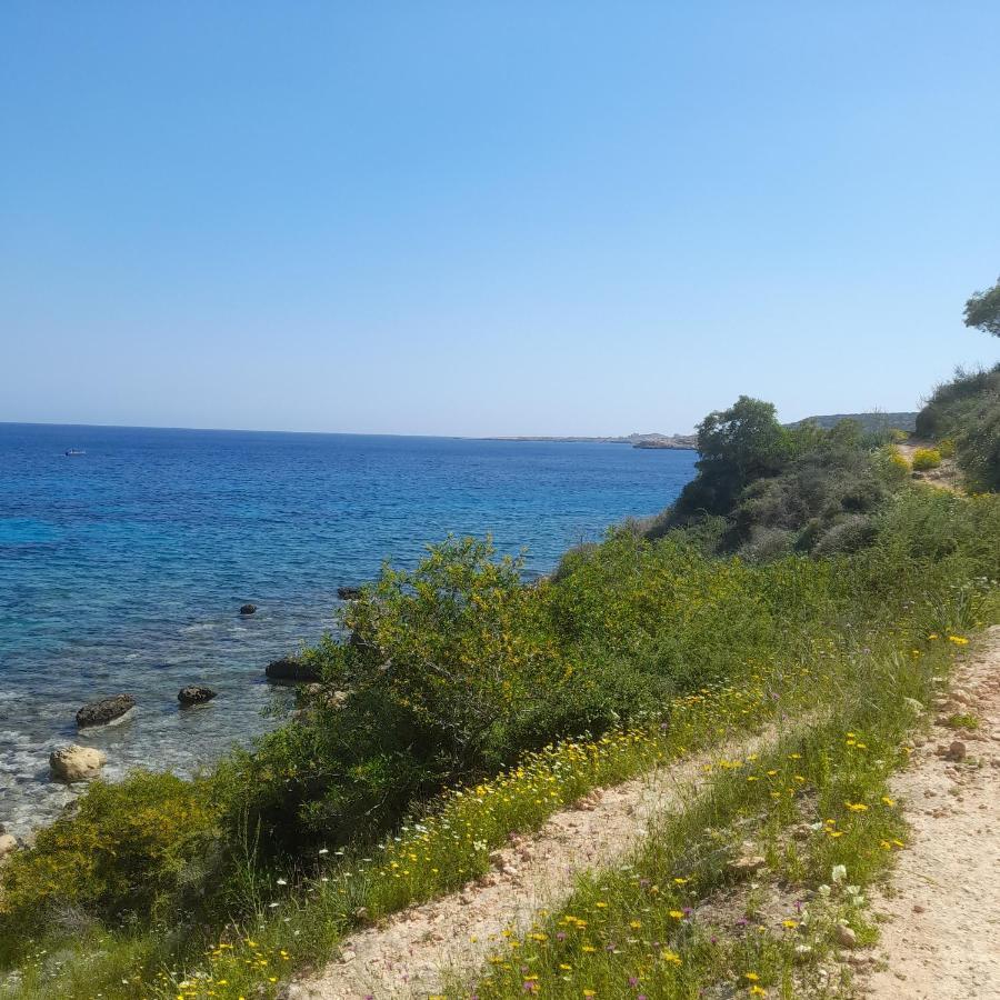 Marias Villa Protaras Bagian luar foto