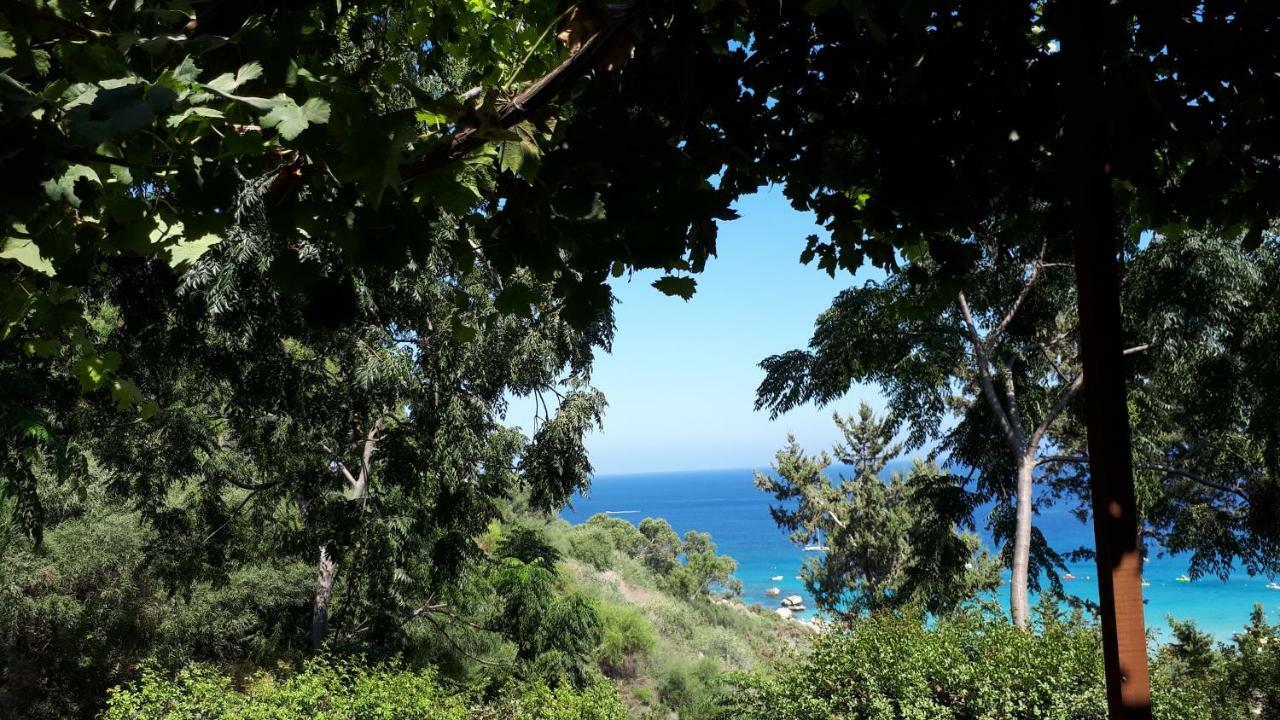 Marias Villa Protaras Bagian luar foto