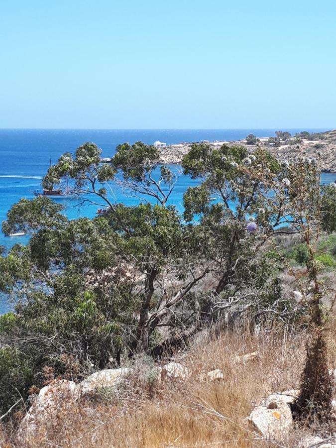 Marias Villa Protaras Bagian luar foto